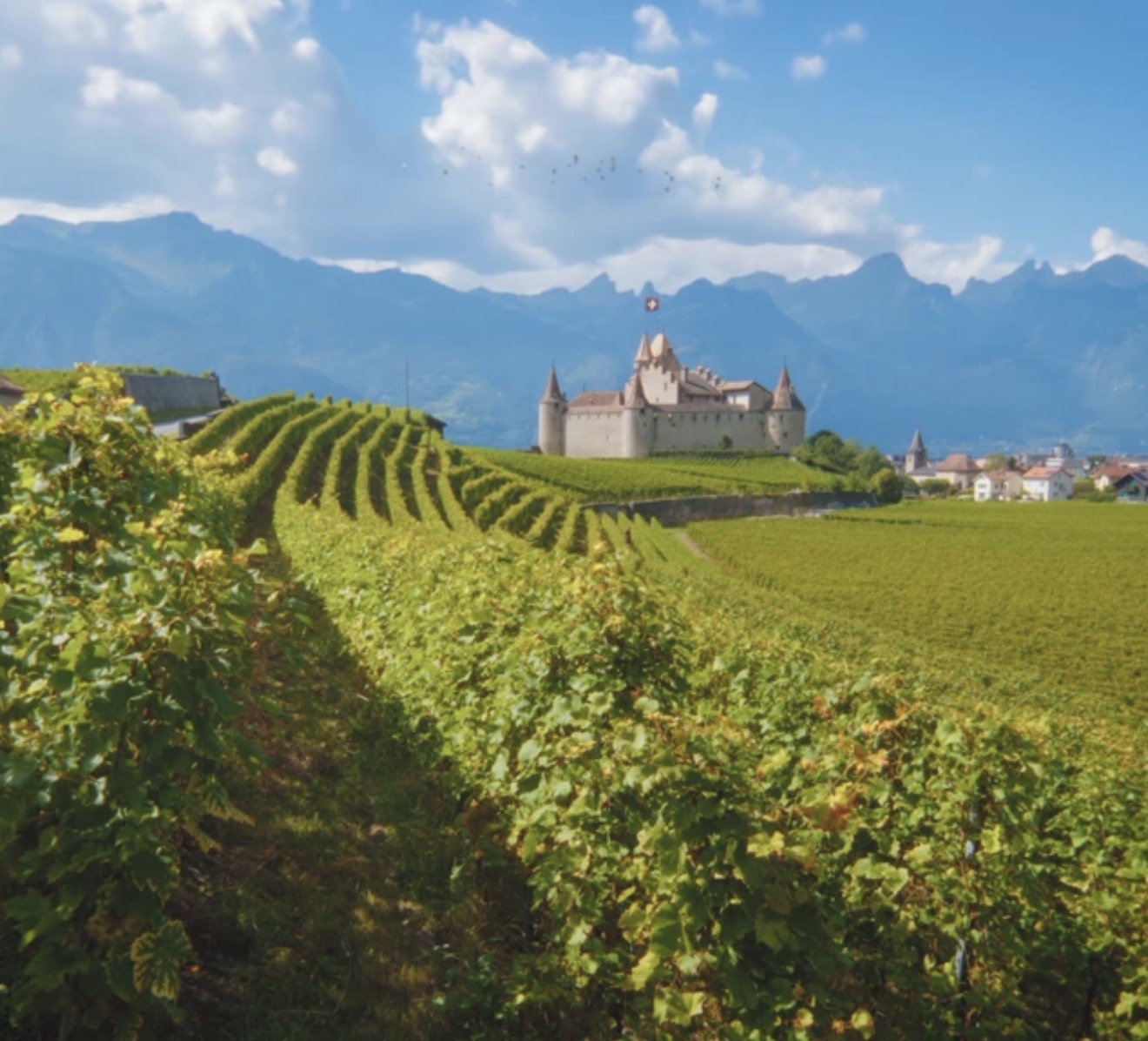 Immeuble · Aigle